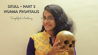 SKULL PART 3  NORMA FRONTALIS  ANATOMY  SIMPLIFIED ✔ [upl. by Notnelc]