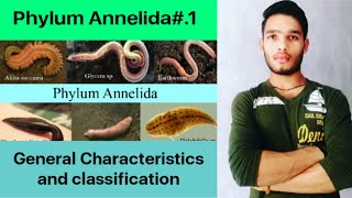 General Characteristics and classification of phylum Annelida [upl. by Ariet]