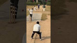 All are Beaten 🤔 cricket cricketlover [upl. by Anniala]