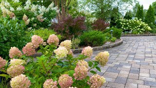 Panicle Hydrangea Garden Tour in MidAugust [upl. by Sherman]