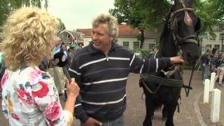 Paardenmarkt Rijnsburg 2013 [upl. by Eldwun742]