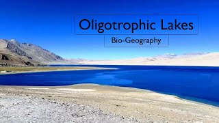 Oligotrophic Lakes  Environmental Geography  Bio Geography  Geography [upl. by Yrneh790]