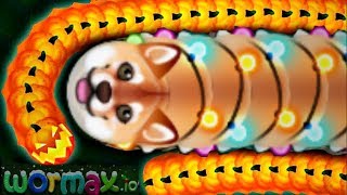 Wormaxio luckiest worm ever  Epic Wormaxio Gameplay Wormaxio Funny Moments [upl. by Martie]