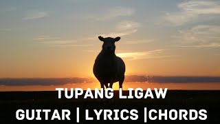 SONG 3  TUPANG LIGAW  REZ VALDEZ COVER  ATIBAPA GUITARCHORDSLYRICS [upl. by Irem623]