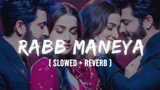 Koi Jaane Na SlowedReverb Tu Mane Ya Na Mane Rabb Manneya Full Song Lakhwinder W [upl. by Jehoash245]