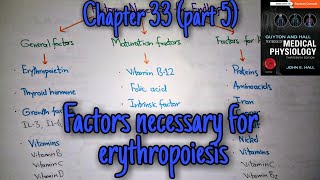 Factors necessary for erythropoiesis Chapter 33 part 59 Guyton and Hall text book of physiology [upl. by Giorgia]