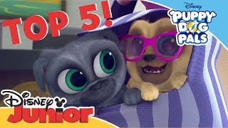 Puppy Dog Pals  Top 5 Reasons Why We Love Bingo and Rolly  Official Disney Channel Africa [upl. by Craw708]