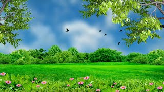 Nature background video effect  landscape background hd [upl. by Alina377]