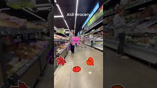 Aldi GroceryPittsburgh [upl. by Hairahcez]