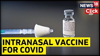 COVID19  COVID19 Vaccine  COVID Vaccine  Intranasal Vaccine For Covid  English News  News18 [upl. by Eigna]