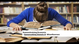 Examentraining Economie Samenvatting Domein H  22 Wisselkoersen [upl. by Hyacinthie]