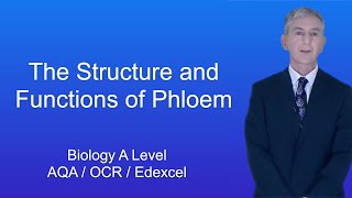 A Level Biology quotThe Structure and Functions of Phloemquot [upl. by Nnaul433]