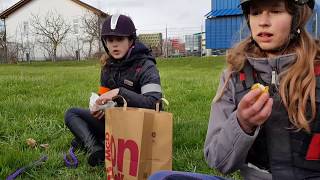 Ausritt zu MC Donalds Mit den Pferden im DriveIn [upl. by Seabury]