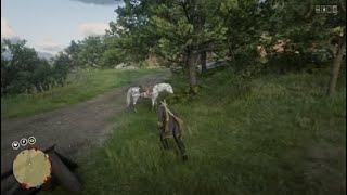 Where to find a 1792 LIBERTY QUARTER Red Dead Redemption 2 online [upl. by Nahshu]