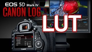 Quick and Easy Way to Color Grade Your Canon EOS 5D Mark IV CLog Footage using a Canon Provided LUT [upl. by Dola]