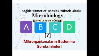 Temel Mikrobiyoloji 7 [upl. by Castra278]