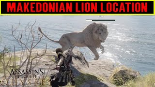 Legacy of the First Blade DLC Makedonian Lion Location  Lone Lion Trophy Guide Makedonian Lion [upl. by Celine]