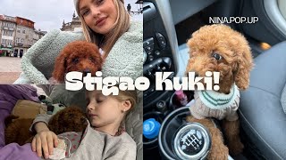 Vlog I Stigao nam novi clan porodice [upl. by Leann]