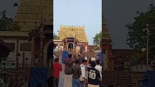 Padhmanabha Swami temple trivandrum shortvideo thechikottukavuramachandran kerala [upl. by Kcir]