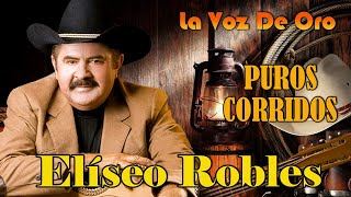 Eliseo Robles Y Los Barbaros Del Norte  La Voz De Oro  Puros Corridos Viejitos [upl. by Lucchesi745]