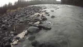 Fly Fishing New Zealand  Tongariro River [upl. by Gahan]