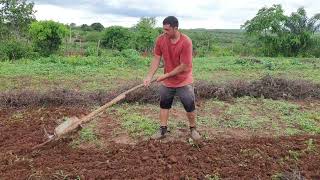 como arar a terra manualmente não compre arado faça o seu aprenda roça chuva [upl. by Salvucci]