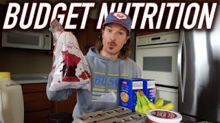 Budget Grocery Haul  High Protein  Tips [upl. by Ainyt367]