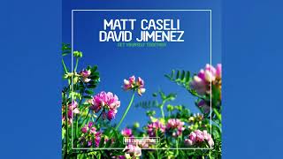 Matt Caseli amp David Jimenez  Get Yourself Together Calippo Remix [upl. by Ardnuaed]