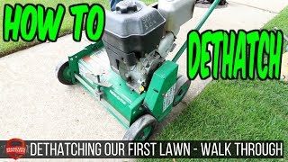 Dethatching Our First Lawn  How To  Vlog Walk Through [upl. by Leiva]