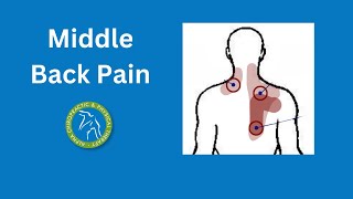 Middle Back Pain [upl. by Violet]