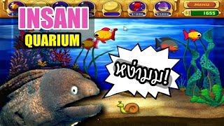 เกมส์เลี้ยงปลาในตำนาน  Insaniquarium เกมส์เก่า [upl. by Willy]