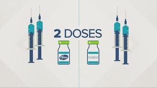 What is the difference between the Pfizer and Moderna vaccines [upl. by Malin]