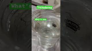 trichoderma biocontrol sale natural [upl. by Harbison82]