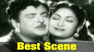 Hello Mr Zamindar Movie  Savitri And Gemini Ganesan Love Scene [upl. by Timus184]