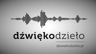 Zielone Ufoludki repFasolki Dźwiękodzieło Instrumental Podkład [upl. by Huberto]