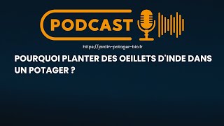 Pourquoi planter des oeillets dinde dans un potager [upl. by Resiak93]