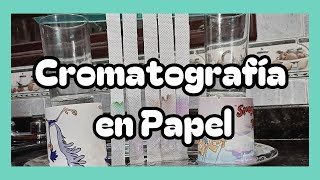 Cromatografía en Papel [upl. by Hsakaa]