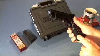 Sig Sauer P226 22LR  Training Handgun [upl. by Leonerd]