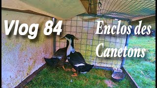 Lenclos des Canetons  Grelinette au Potager Vlog 84 [upl. by Merideth267]