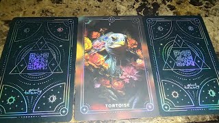 Unboxing the Spirit Animals a journey into the wild 96 card oracle deck [upl. by Prouty]