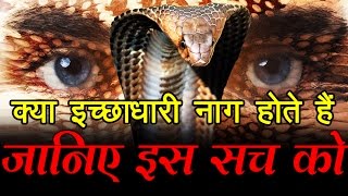 क्या इच्छाधारी नाग होते हैं जानिए इस सच को What is Ichchadhari Nagin [upl. by Attiuqihc]