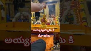 స్వామియే శరణమయ్యప్ప🙏🙏🙏devotionalsongs అయ్యప్పస్వామి అయ్యప్పస్వామి కి అభిషేకం🙏🙏🙏 [upl. by Attekal308]