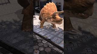 Dino Attack Baby Triceratops fyp short Triceratops [upl. by Emmerich676]