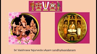 Sri Vaishnava Yajurveda Sayam Sandhyavandanam Evening Sandhyavandanam [upl. by Nnylarak]