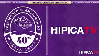 Hípica TV Livestream  Sabado 4 de Noviembre 2023 [upl. by Aunson417]