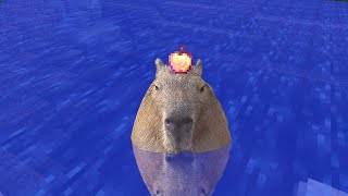 ok i pull up capybara [upl. by Cuttie]