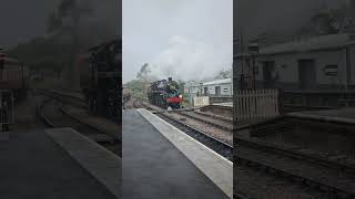 Standard 5 linette camelot at Sheffield Park Oct 2024 [upl. by Fellner]