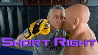 The Short Right Hand kickboxing boxing mma [upl. by Dorothea]