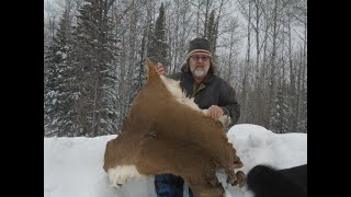 Preserving a Deer Hide by Fleshing and Salting with Callie Russell [upl. by O'Connor]