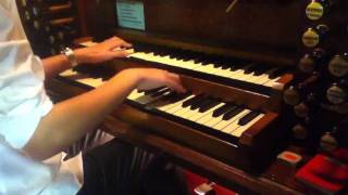 Nuvole Bianche  ORGAN VERSION by TheAdamPiano HD [upl. by Ellemrac979]